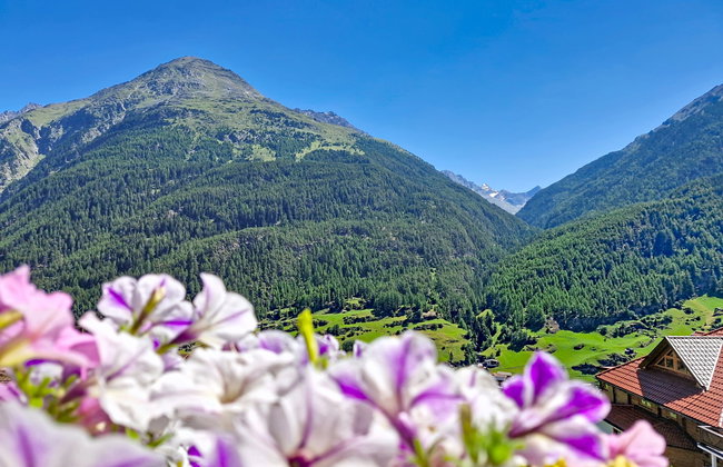 Alpenblick - Photo 38