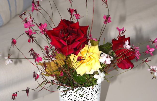 Villa Fleria - Foto 10