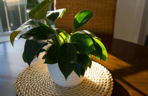 Yachtsman Suite - Foto 32