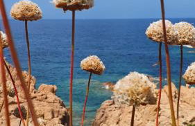 Casa ClaMi - Foto 61