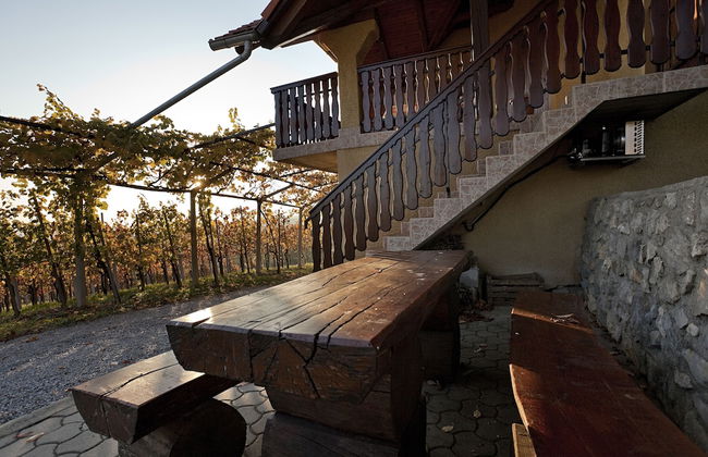 Vineyard Cottage Brodaric - Foto 16