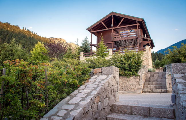 Aelia Hospitality Parnassos - Foto 23