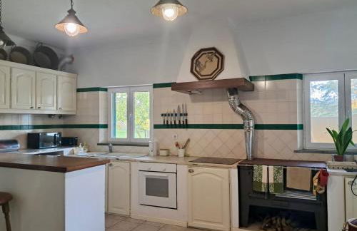 Quinta do Mastim - Foto 4