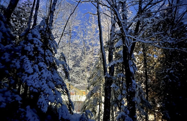 Hauser's Bayfield Cabin - Foto 65