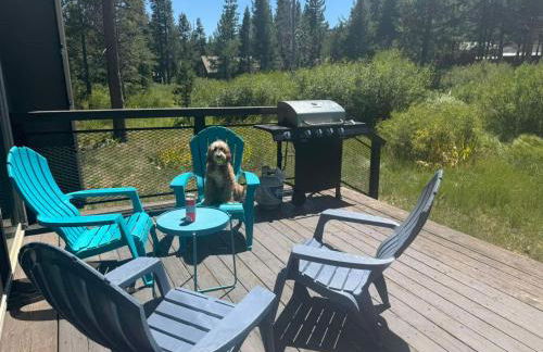 Modern Gambrel Cabin Near Ski Resorts - Photo 22