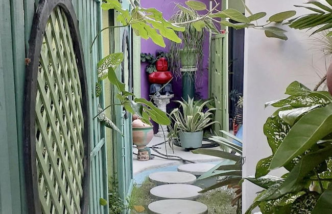 Unique Art Nature Hideaway Walkable to Wilton Drive - Foto 11