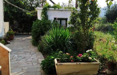 Magdalini Studio - Foto 9