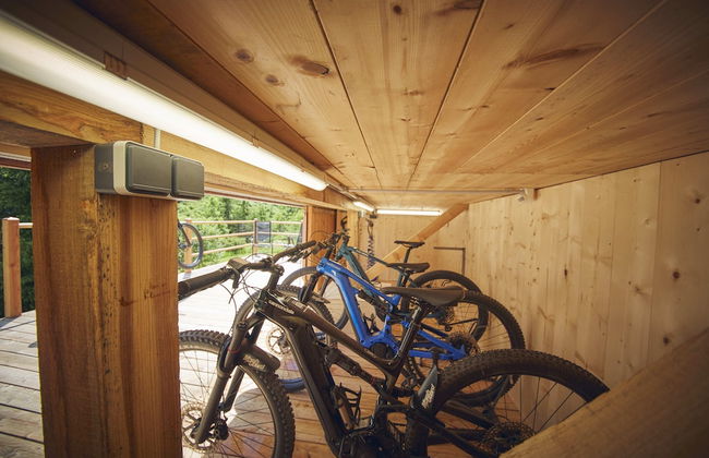 Chalet Tannenbaum - Foto 57