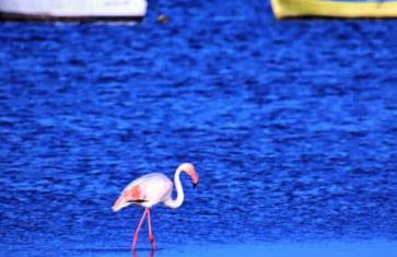 Relaxing experience in apt club nautico isleta - Foto 7