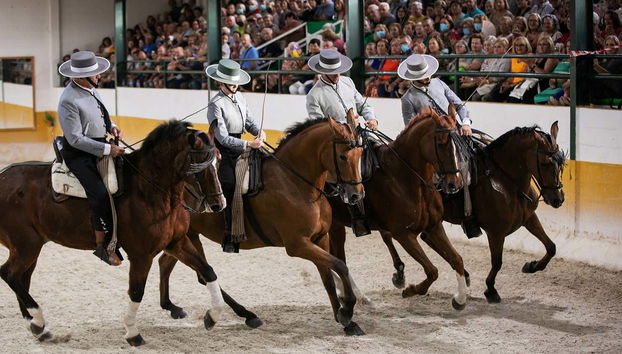 Cavaliers à cheval pendant le spectacle