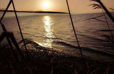 Ferienwohnung Lieblingszeit - Foto 45