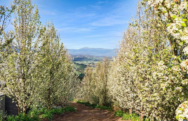 Skyline Views Yarra Valley s Elevated Escape - Foto 34