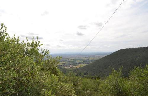 Il Rustico Vicopisano - Foto 24