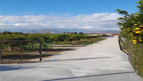 Angela Apartment - Foto 5, Garden