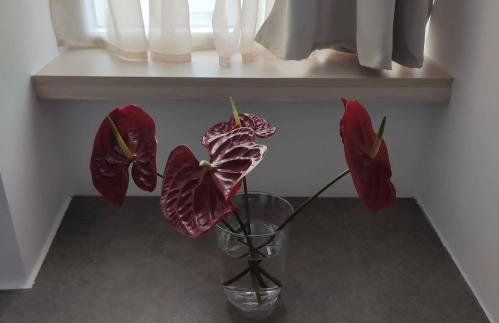 PETMEZA APARTMENT 2 Aigio City F - Photo 14