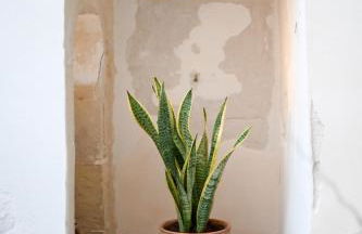 Dimora S.Vito - Foto 42