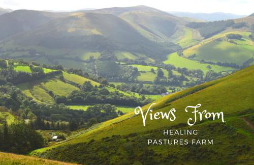 Healing Pastures Farm - Foto 12