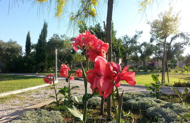 Willaria country house - Photo 52