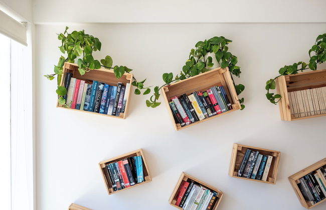 Estúdios Salinas - Foto 3