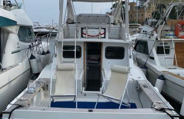 Orizzonte spezzino - Foto 43