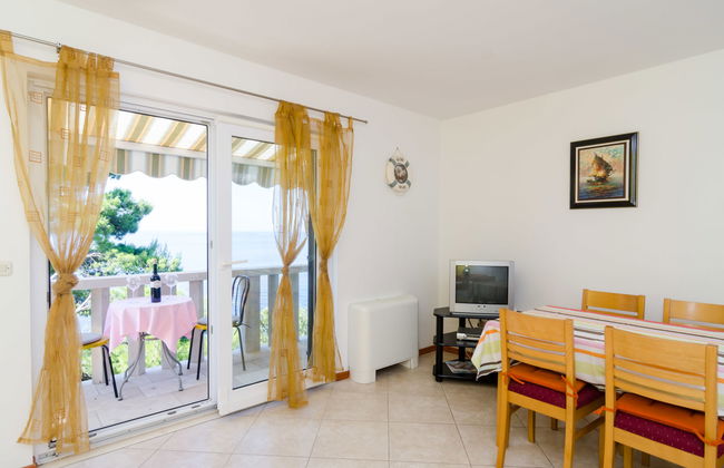 Plavac Mali - Foto 6