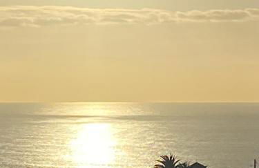 Green Tropical House - Photo 13