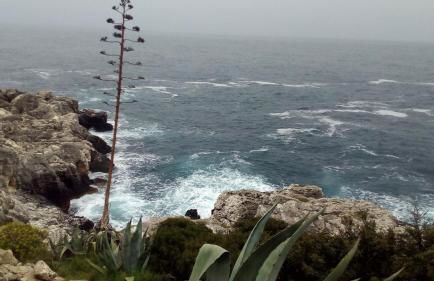 Casa vacanze Elisir - Foto 33