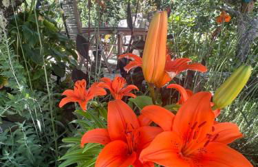 Manor Meeder - Foto 30