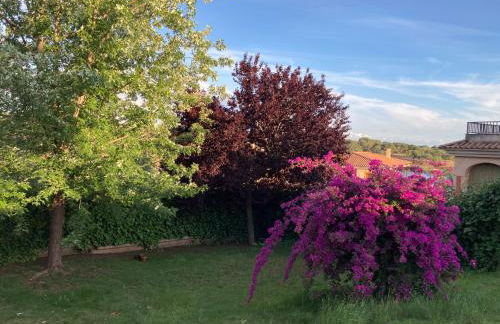 Villa La Parra en el corazón de la Sierra de Gata TR-CC-00464 - Foto 6