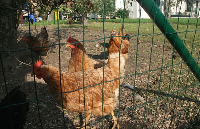 Country House Near Baltic Sea Beach - Foto 20