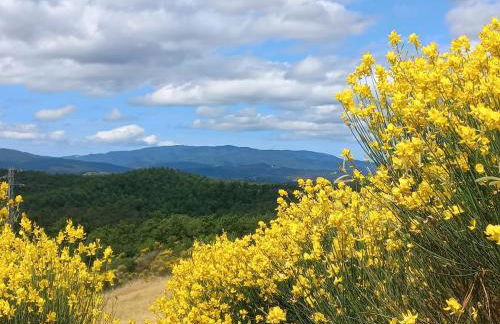 Il tuo nido nel borgo-by Goccia di Lago - Foto 8
