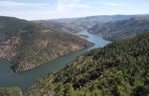 Casa Machado - Foto 23