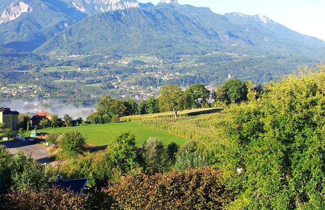 Holiday Home in Ludmannsdorf Near Worthersee - Photo 26