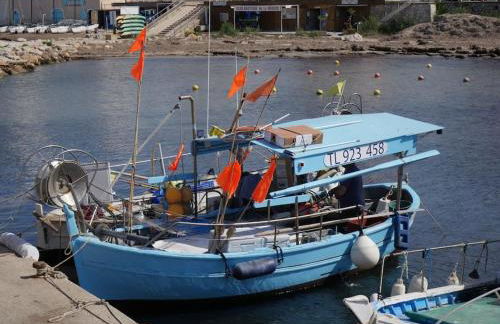 Studio Le Calypso les pieds dans l'eau 10 m mer - Foto 18
