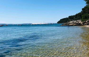 Villa CapFerret sous les pins,bassin et océan à pied - Foto 15