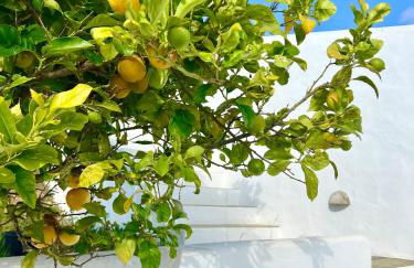 Casa Sul - Casas de Seixe - Foto 13