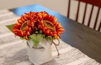 Croquet - Fire Pit - Central Location - Foto 8