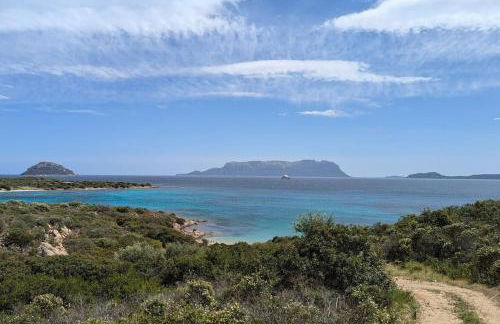 Supreme Beach Location with pool at Cala Sassari - Foto 8