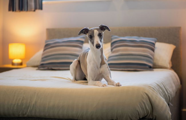 Harbour Stays - The Marine Centre - Foto 12