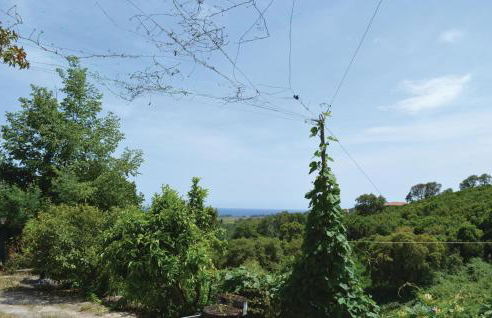 Cozy Apartment In Talasani - Foto 8