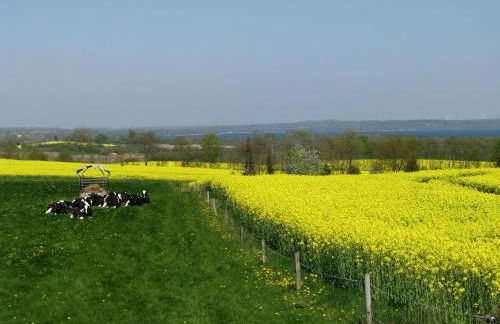 Frietied am Wittensee - Photo 19