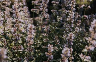 le bois de Selves - Maison authentique avec vue exceptionnelle - Foto 29