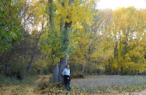 Spa y Casa Rural Rio Dulce - Foto 28