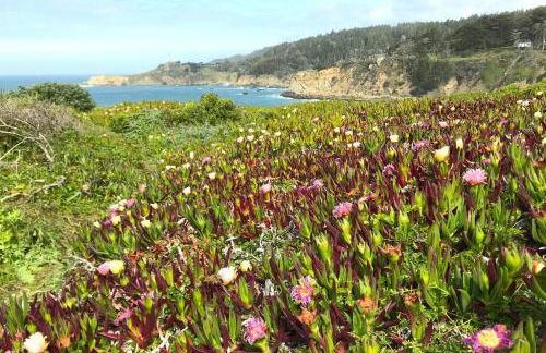 Rustic Luxe 'Fort Camp' Retreat - Foto 36