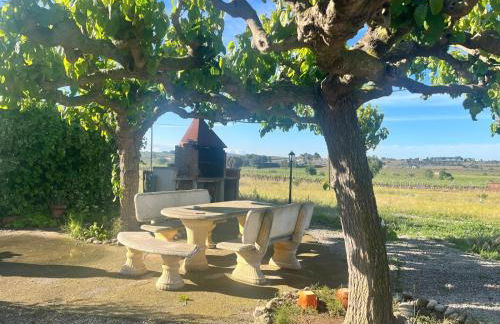 Cal Muntanyès - Foto 26