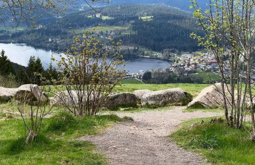 Ferienwohnung Traumwerk Titisee - Foto 17