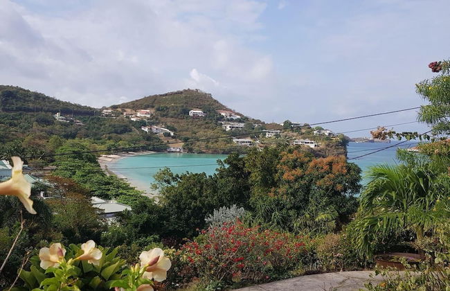 Beautiful 1-bed Apartment in Saint George's - Foto 22