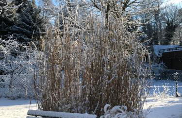 Ferienwohnungen direkt am Wasser - Photo 29