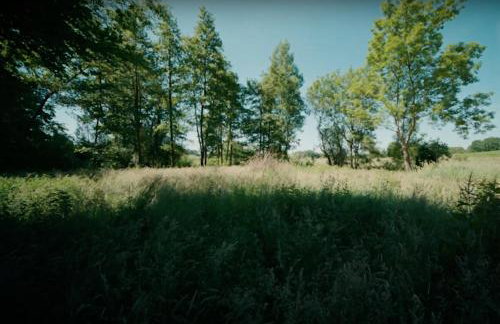 Apartments Wassermühle Stenten - Foto 11