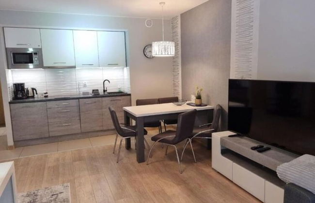 Apartment in Szklarska Poreba With Mountains View - Photo 10